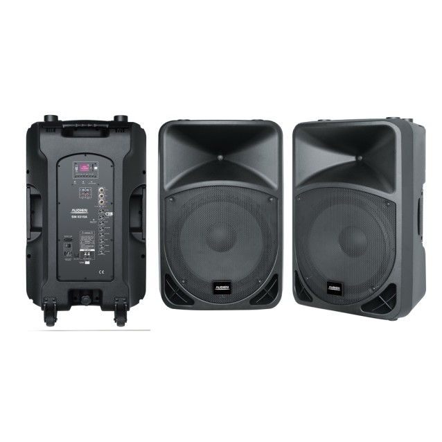 SM-5215A Επαναφορτιζόμενο ενεργό ηχείο 15" με 2 ασύρματα μικρόφωνα