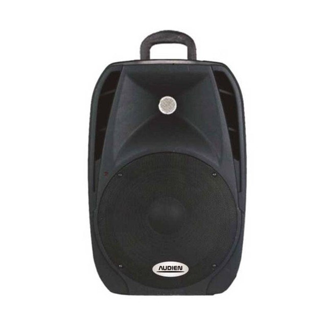 ΠΑΘΗΤΙΚΟ ΗΧΕΙΟ PA 8" 240WMax SM-10108