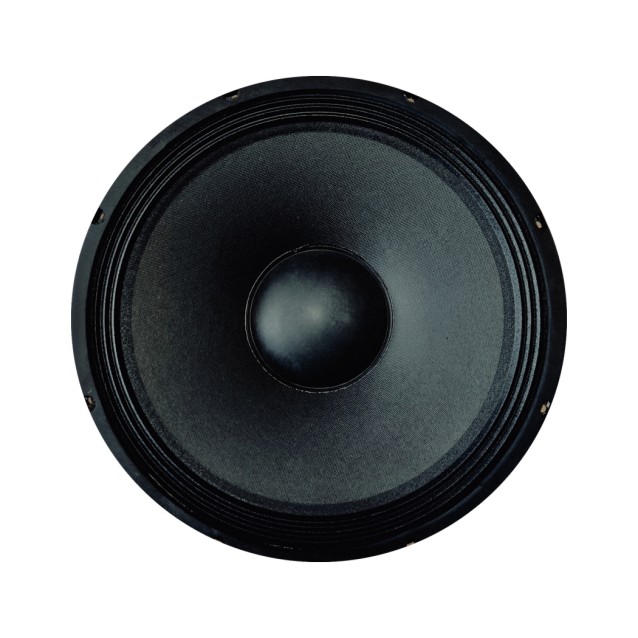 DT Electronics PAW1512 Μεγάφωνο 15'' Σκληρού Κώνου.800W max (τεμαχ)