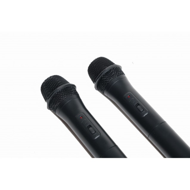 WM20D Dual Wireless UHF Microphone System by Audio Club.